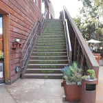 I absolutely loved these stairs at "The Camp." The message they send really resonated with me - it's so simple, yet so powerful.